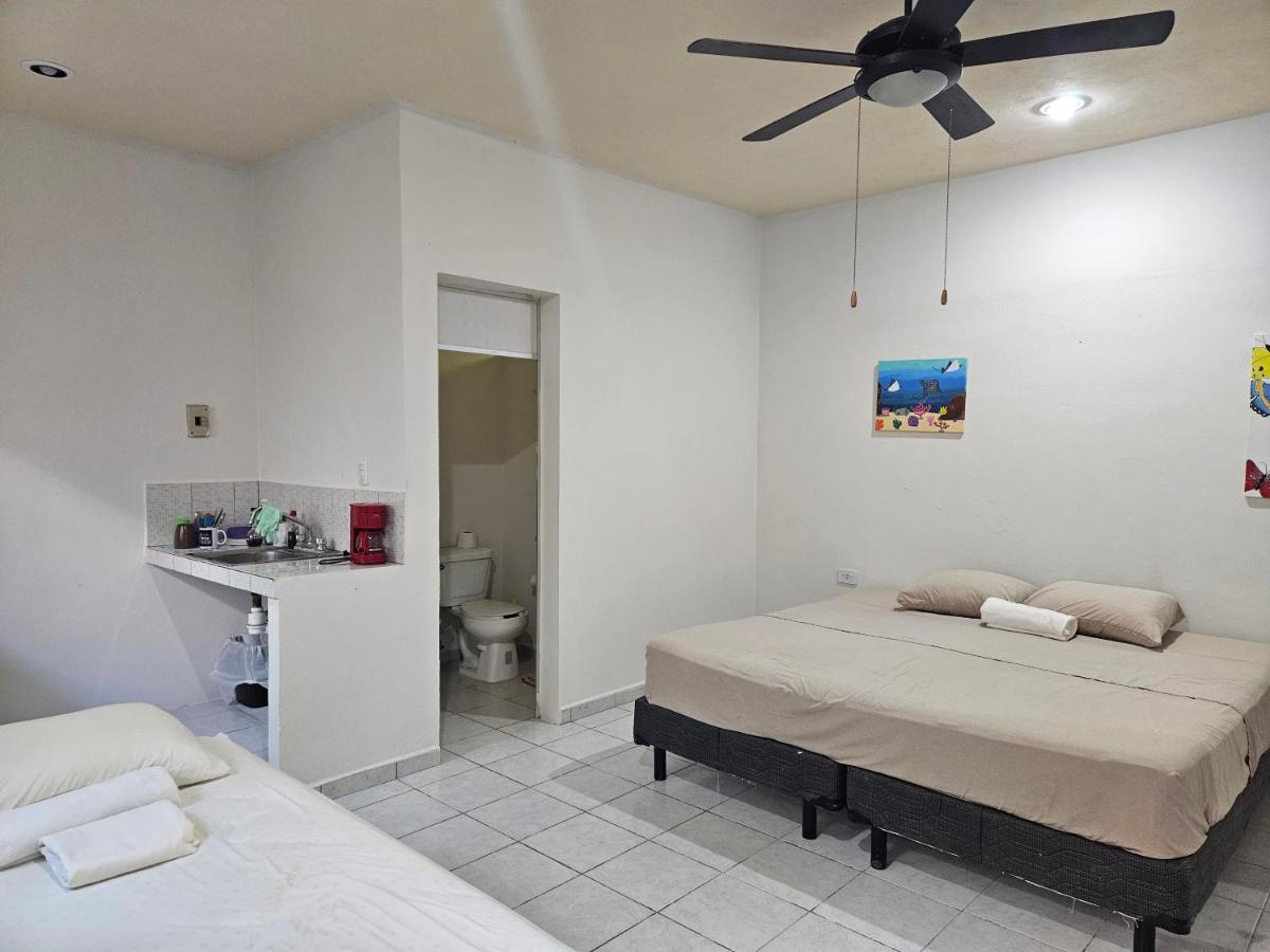 Hostel El Padrino Akumal Exteriér fotografie